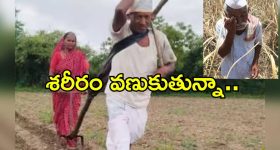Elderly Farmer Hardship: వృద్ధాప్యంలో కటిక పేదరికం.. ఎద్దులకు బదులు స్వయంగా పొలం దున్నుతున్న 75 ఏళ్ల రైతు..