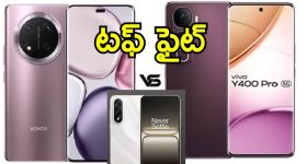 Crab Bridge: పీతలు రోడ్డు దాటేందుకు.. ఏకంగా ఆ ఊర్లో వంతెనే కట్టేశారు!