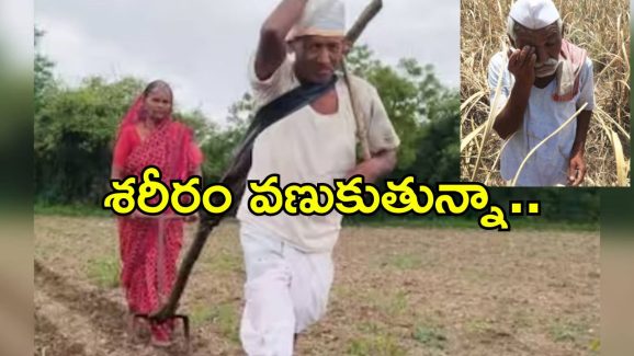 Elderly Farmer Hardship: వృద్ధాప్యంలో కటిక పేదరికం.. ఎద్దులకు బదులు స్వయంగా పొలం దున్నుతున్న 75 ఏళ్ల రైతు..