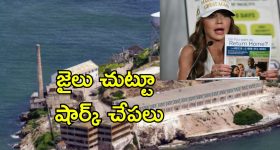 Gorinta Plant: ఇంట్లో గోరింట మొక్కను పెంచవచ్చా? వాస్తు శాస్త్రం ఏం చెబుతోంది?