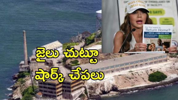 US Immigrant Cannibal: తన శరీరాన్ని తనే కొరుక్కు తిన్నాడు.. విమానంలో అక్రమ వలసదారుడిని చూసి అందరూ షాక్