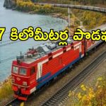 World’s Longest Train: ప్రపంచంలోని అత్యంత పొడవైన రైలు.. 8 ఇంజిన్లతో నడిచే ఈ రైలు అంత డేంజరా?