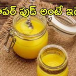 Monsoon Ghee Benefits: నెయ్యి తినడం వల్ల ఇన్ని లాభాలా.. వర్షాకాలంలో సూపర్ బెనిఫిట్స్