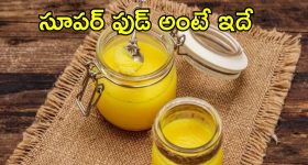 Monsoon Ghee Benefits: నెయ్యి తినడం వల్ల ఇన్ని లాభాలా.. వర్షాకాలంలో సూపర్ బెనిఫిట్స్