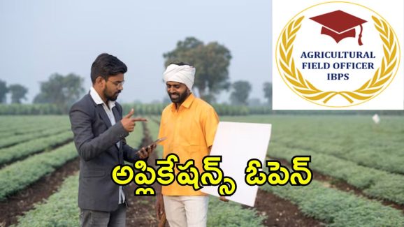 IBPS Agriculture Officer: నెలకు రూ. 85,920 వేతనం.. 310 ఉద్యోగ ఖాళీలు