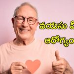 Healthy Heart In Old Age: వృద్ధాప్యంలోనూ ఆరోగ్యమైన గుండె.. వైద్యులు చెప్పే సూచనలు ఇవే..