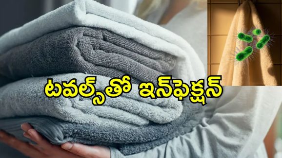 Towel Bacteria: మీ బాత్ టవల్స్‌ నిండా బ్యాక్టీరియా.. అధ్యయనంలో షాకింగ్ ఫ్యాక్ట్స్