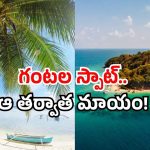 Nagarjuna Sagar hidden spot: తెలంగాణలో ఐలాండ్.. 4 గంటలే ఓపెన్.. అలా వెళ్లి ఇలా రావచ్చు!