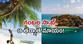 AP Liquor Scam: ఏపీ లిక్కర్ స్కామ్.. మిథున్ రెడ్డి అరెస్ట్ ఖాయమా? సిట్ ఛార్జ్ షీట్‌లో ఏం ఉంది?