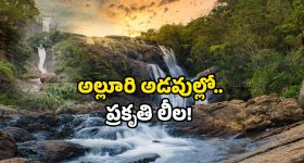 NHAI new toll rates: మీ రూట్ లో బ్రిడ్జిలు ఉన్న హైవేలు ఉన్నాయా? ఇకపై టోల్ ఫీజు తగ్గింపే!