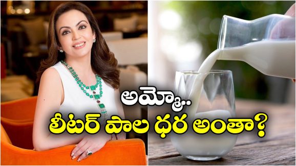 Nita Ambani: నీతా అంబానీ A2 పాలే తాగుతుందా? వాటి ప్రత్యేకత తెలిస్తే పరేషాన్ కావాల్సిందే!