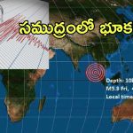 EarthQuake Andaman Sea: అండమాన్‌ సముద్రంలో భూకంపం.. 5.3 రిక్టర్‌ స్కేల్ తీవ్రత.. 10 కిలోమీటర్ల దూరం వరకు ప్రభావం