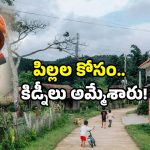 One Kidney Village Story: ఆ ఊరిలో అందరికీ ఒక కిడ్నీనే.. దీని వెనుక భారీ మోసం.. అదేమిటంటే?