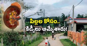Pothuluri Prediction: ఆ ప్రళయం గురించి ముందే చెప్పిన బ్రహ్మంగారు.. ఇవన్నీ నిజమయ్యాయి