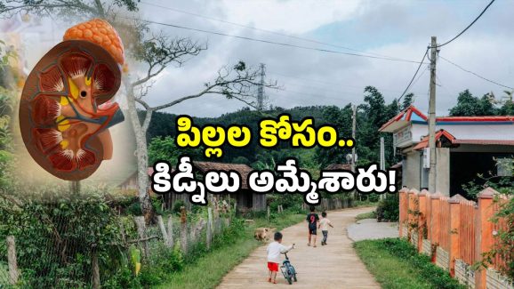 One Kidney Village Story: ఆ ఊరిలో అందరికీ ఒక కిడ్నీనే.. దీని వెనుక భారీ మోసం.. అదేమిటంటే?