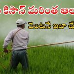PM Kisan: పీఎం కిసాన్ డబ్బులు పడకపోవడానికి కారణాలేంటి? ఇప్పుడు వెంటనే ఇలా చేయండి..