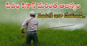 PM Kisan: పీఎం కిసాన్ డబ్బులు పడకపోవడానికి కారణాలేంటి? ఇప్పుడు వెంటనే ఇలా చేయండి..