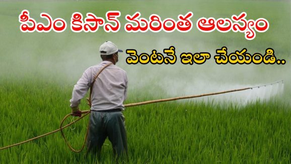 PM Kisan: పీఎం కిసాన్ డబ్బులు పడకపోవడానికి కారణాలేంటి? ఇప్పుడు వెంటనే ఇలా చేయండి..
