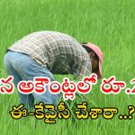 PM Kisan: పీఎం కిసాన్ రూ.2వేలు మీ అకౌంట్లో పడాలంటే.. వెంటనే ఇలా చేయండి