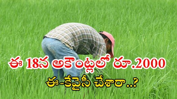 PM Kisan: పీఎం కిసాన్ రూ.2వేలు మీ అకౌంట్లో పడాలంటే.. వెంటనే ఇలా చేయండి