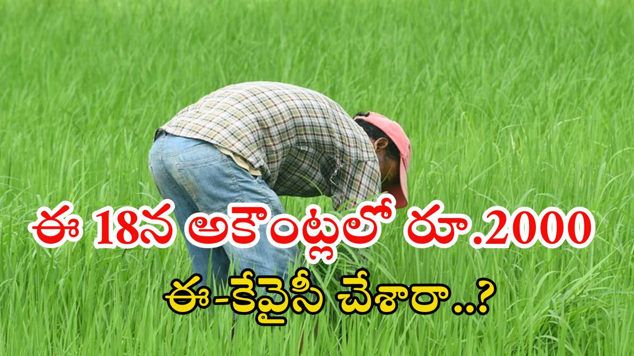 PM Kisan: పీఎం కిసాన్ రూ.2వేలు మీ అకౌంట్లో పడాలంటే.. వెంటనే ఇలా చేయండి