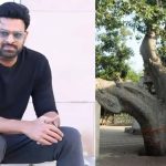 Prabhas: ప్రభాస్ ఇంట్లో స్పెషల్ చెట్టు.. దాని ప్రత్యేకత ఏంటో తెలుసా.?