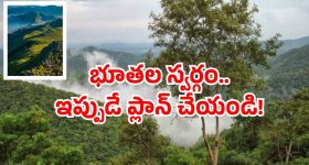 Indian Railways: బాబోయ్.. దేశంలో రోజూ ఇన్ని రైళ్లు నడుస్తాయా? అస్సలు ఊహించి ఉండరు!