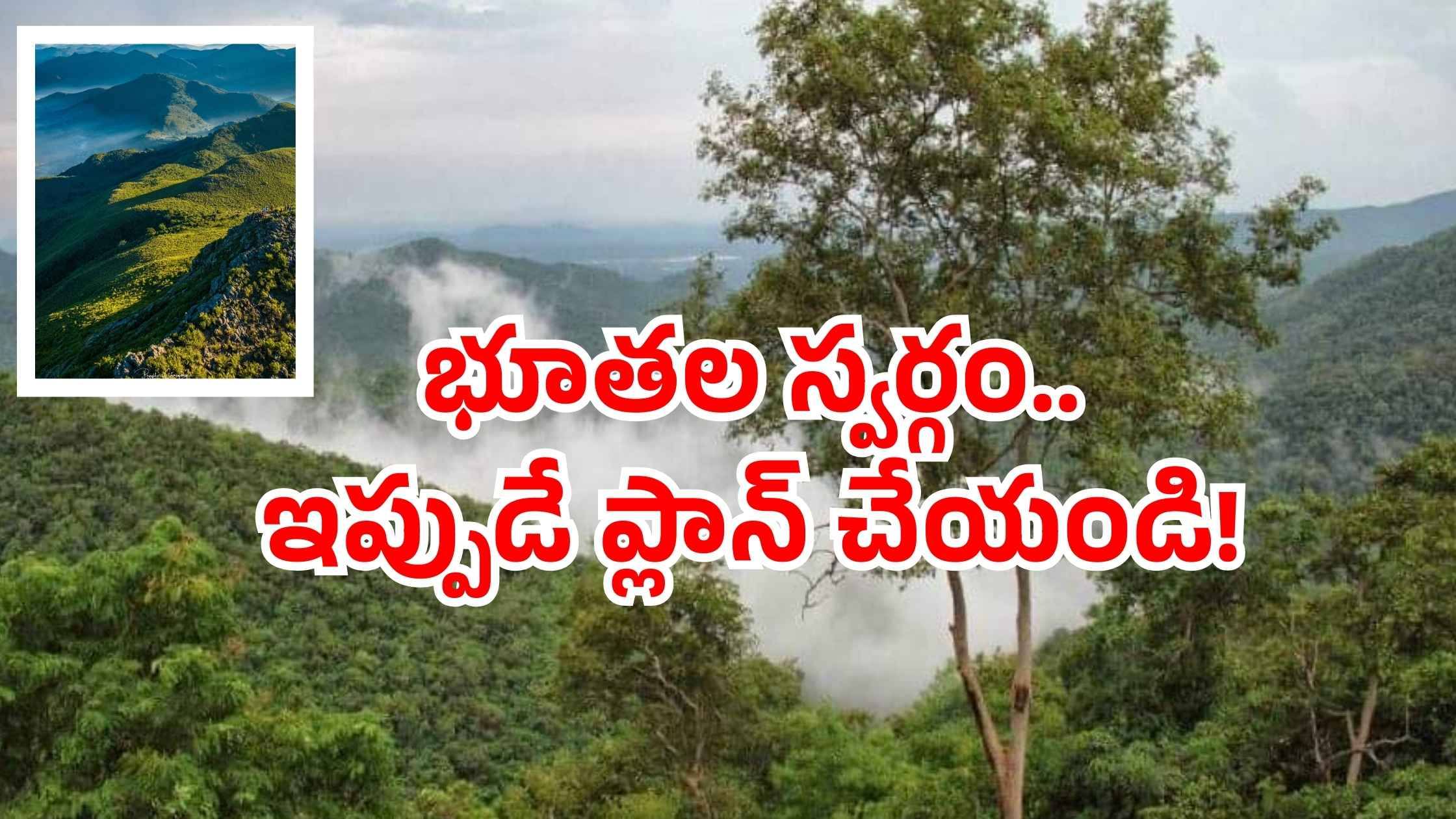 Paderu view point: ఆకాశాన్ని తాకే కొండలు.. చేతికి అందే మేఘాలు.. ఏపీలో ఈ స్పాట్ మిస్ కావద్దు!