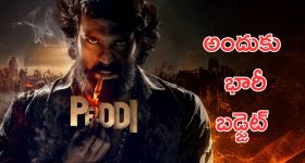 Peddi Movie: పెద్ది సినిమా కోసం అతిపెద్ద నిర్ణయం, ఆ ఒక్క దానికి 250 కోట్లు