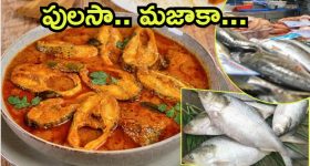 Pulasa Fish: యానాంలో పులస చేప హంగామా.. రికార్డు స్థాయిలో ధర, తెలిస్తే నోరెళ్ల బెట్టాల్సిందే