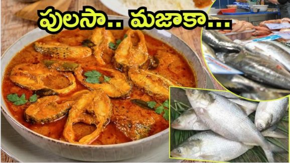 Pulasa Fish: యానాంలో పులస చేప హంగామా.. రికార్డు స్థాయిలో ధర, తెలిస్తే నోరెళ్ల బెట్టాల్సిందే