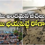 Bali: అక్కడి బీచ్‌లో ఎంజాయ్ చేద్దామని వెళ్తే.. ఈ భయానక రోగానికి గురవ్వడం పక్కా!