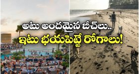 Bali: అక్కడి బీచ్‌లో ఎంజాయ్ చేద్దామని వెళ్తే.. ఈ భయానక రోగానికి గురవ్వడం పక్కా!