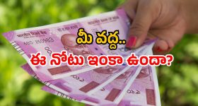 Sanjay Dutt: బాలీవుడ్ దృష్టి అంత అక్కడే.. పరువు తీసిన సంజయ్ దత్!