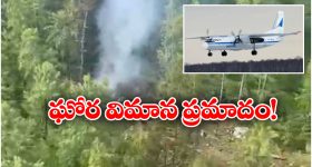 Tomato Face Mask: టమాటోలో ఈ ఒక్కటి కలిపి వాడితే.. అమ్మాయిలే అసూయపడే అందం