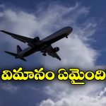 Plane Missing: 50 మందితో వెళ్తున్న విమానం గాల్లోనే అదృశ్యం.. ఇంతకీ ఏమైనట్టు?