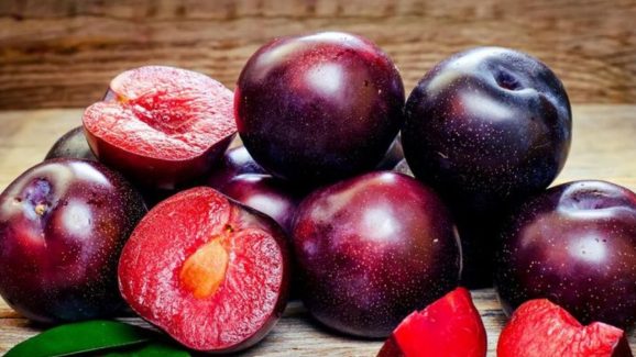 Plum Benefits: ఈ ఎర్రటి ఫ్రూట్స్ తింటే.. బోలెడు ఆరోగ్య ప్రయోజనాలు