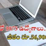SSC: టెన్త్ అర్హతతో 1075 ఎంటీఎస్ పోస్టులు.. నెలకు రూ.56,900 జీతం, మిస్ అవ్వొద్దు
