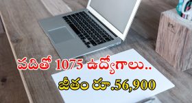 SSC: టెన్త్ అర్హతతో 1075 ఎంటీఎస్ పోస్టులు.. నెలకు రూ.56,900 జీతం, మిస్ అవ్వొద్దు