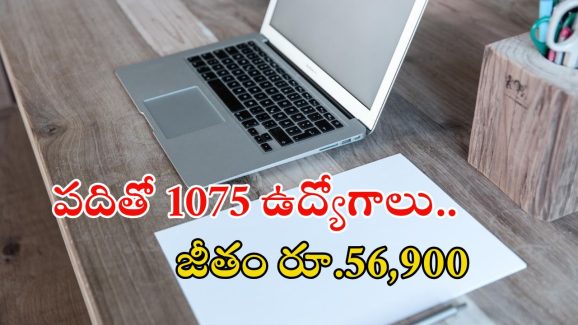 SSC: టెన్త్ అర్హతతో 1075 ఎంటీఎస్ పోస్టులు.. నెలకు రూ.56,900 జీతం, మిస్ అవ్వొద్దు