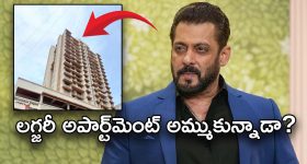 Salman Khan: రూ. 5 కోట్ల ఆస్తి.. అంత తక్కువ ధరకే అమ్మేసిన సల్మాన్, ఎందుకో తెలుసా?