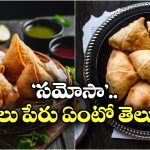 Samosa: సమోసా ఇండియాలో పుట్టిందని అనుకుంటున్నారా? కానే కాదు.. ఆ దేశంలో పుట్టి.. ఇక్కడికి!