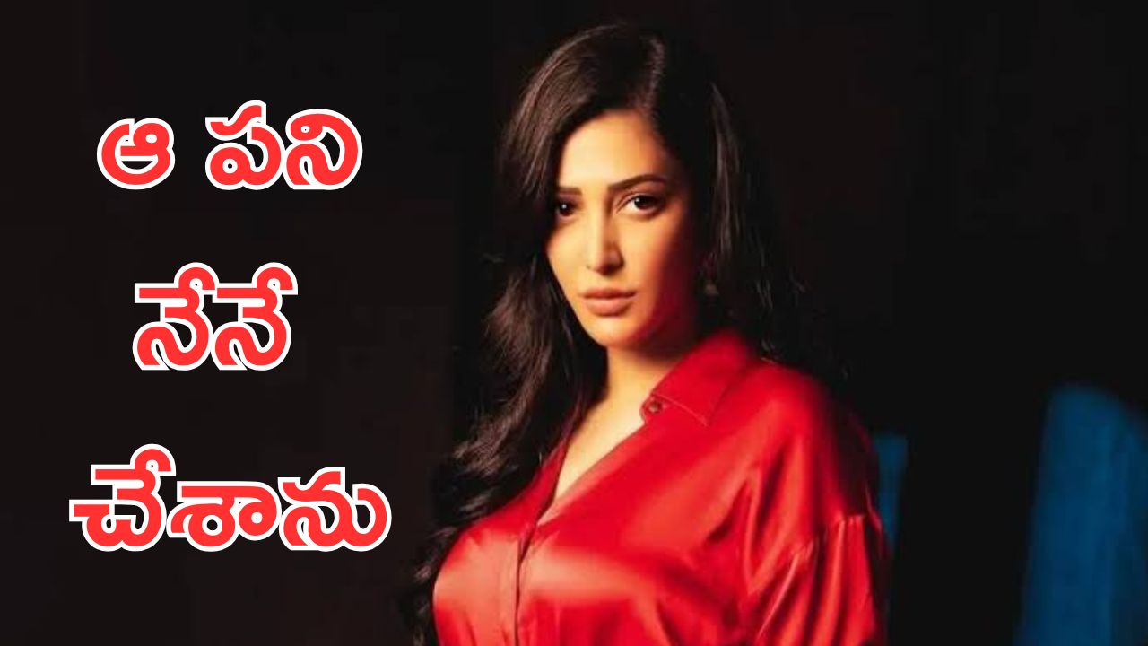 Shruti Haasan : తమిళ్ లో నన్ను ట్రోల్ చేశారు… అప్పుడు ఆ డైరెక్టరే నన్ను మార్చారు