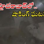 Skeleton Found: బాల్ పడిందని ఓ ఇంట్లోకి వెళ్లిన యువకుడు.. అస్థిపంజరం చూసి షాక్.. సోషల్ మీడియాలో వీడియో