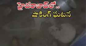 Skeleton Found: బాల్ పడిందని ఓ ఇంట్లోకి వెళ్లిన యువకుడు.. అస్థిపంజరం చూసి షాక్.. సోషల్ మీడియాలో వీడియో