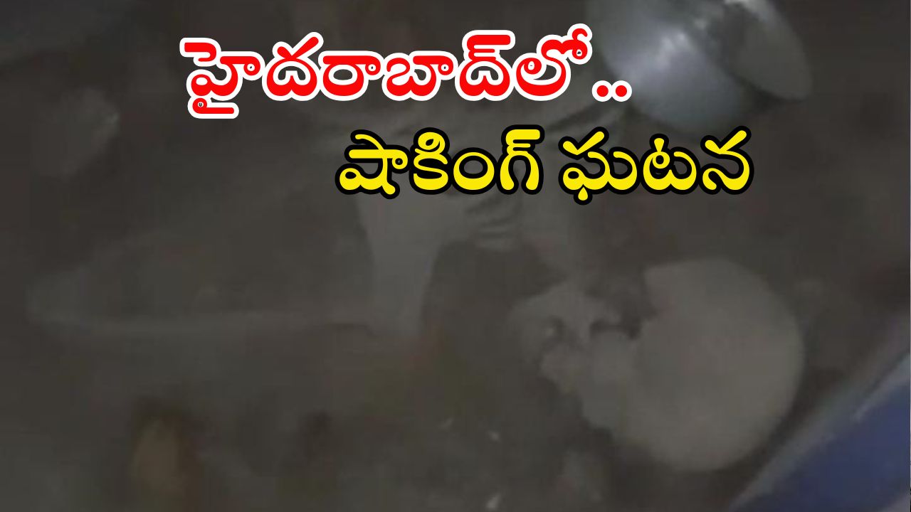 Skeleton Found: బాల్ పడిందని ఓ ఇంట్లోకి వెళ్లిన యువకుడు.. అస్థిపంజరం చూసి షాక్.. సోషల్ మీడియాలో వీడియో