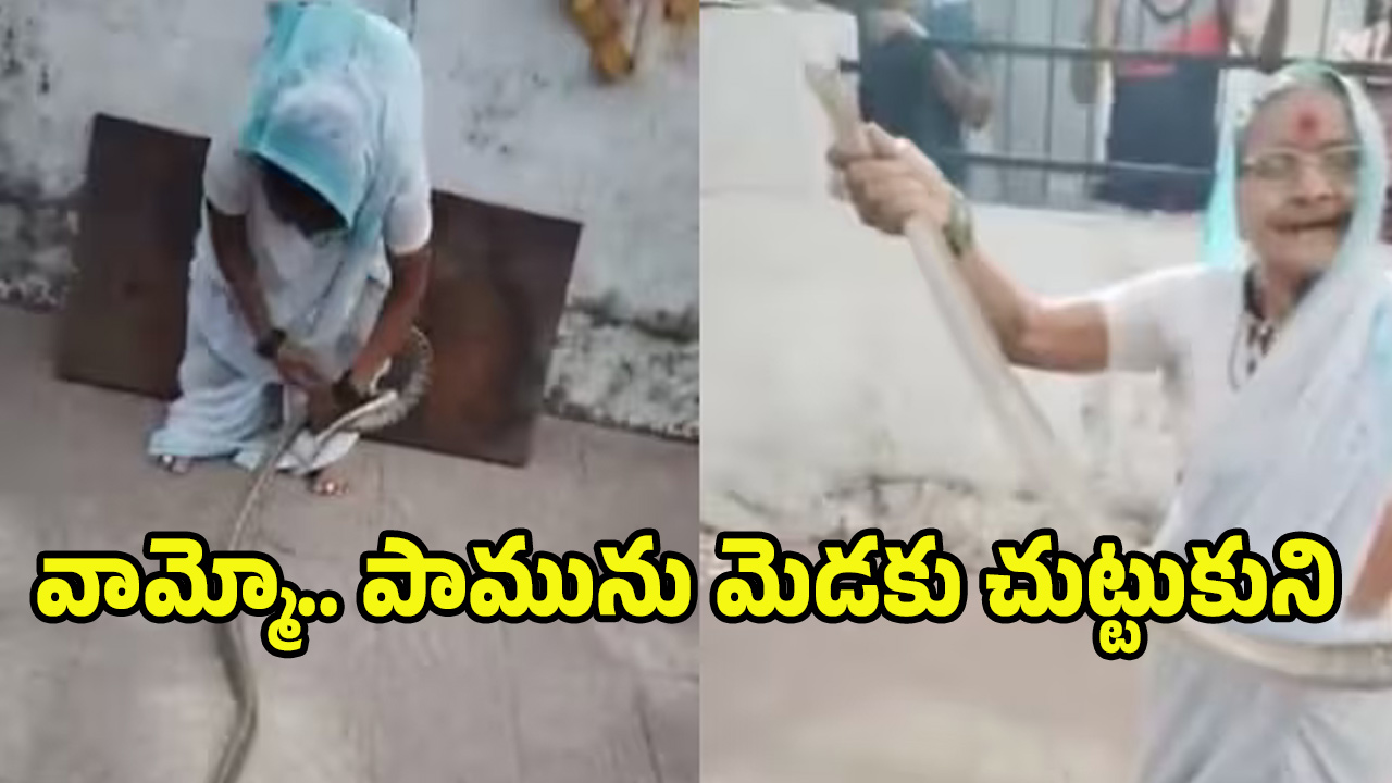 Snake Video: నువ్వు సూపర్ బామ్మ.. 70 ఏళ్ల వయస్సులో భారీ పామును అవలీలగా..! వీడియో వైరల్