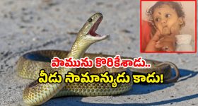 Paayal Rajput: బైకుపై స్టైలిష్ లుక్ లో అదరగొడుతున్న పాయల్.. ఈ అవతారం ఏంటి..?