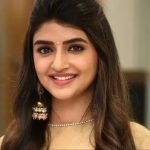 Sreeleela: బాలీవుడ్ హీరోతో అడ్డంగా దొరికిపోయిన శ్రీ లీల.. రిలేషన్ కన్ఫర్మ్ చేసినట్టేనా?