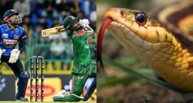 Sri Lanka Vs Bangladesh, Snake: శ్రీలంక, బంగ్లా మ్యాచ్ లో కలకలం... ప్లేయర్లపైకి దూసుకొచ్చిన పాము !
